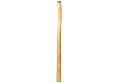 Medium Size Natural Finish Didgeridoo (TW1643)